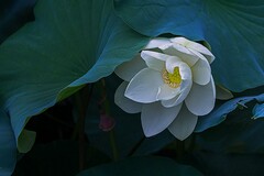 水运工程监理工作总结
