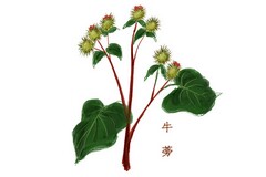 解除同居协议书图片