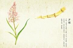 重阳节的古诗练字作品