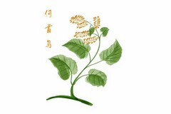 高三百日誓师大会学生代表发言稿