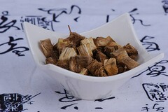 担保合同