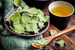 高中老师辞职报告