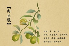 经理助理述职报告