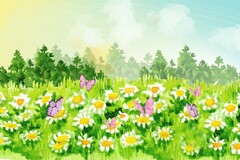 装修公司销售个人工作总结一周
