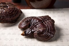 会计硕士求职经验帖