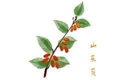 春节期间各部门工作安排通知