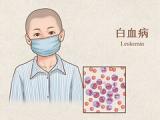 有关思念家乡的诗句大全_关于思念家乡的诗句10首