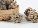 应届护士简历的自荐信(应届毕业生护士自荐书400字)