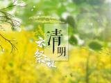 2024通用劳动合同范本_2022民法典劳动合同法