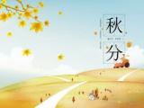 教师节主持稿学生_教师节活动主持稿