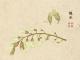 高三新学期计划500字_高三新学期学习计划