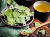 中学教师辞职报告(中学教师辞职了能去干什么工作)