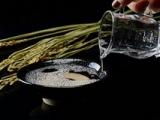 项目财务主管述职报告_财务主管年终述职报告