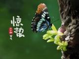 学习部期末总结_学习部的年度总结